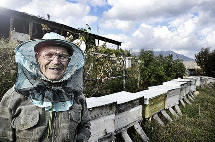 beekeeper